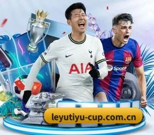五大服务分区,信息按项目分类（Leyu）