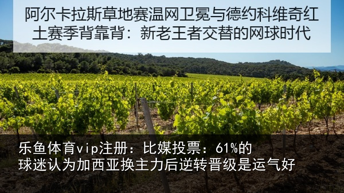 乐鱼体育vip注册:比媒投票:61%的球相关情况力后相关情况