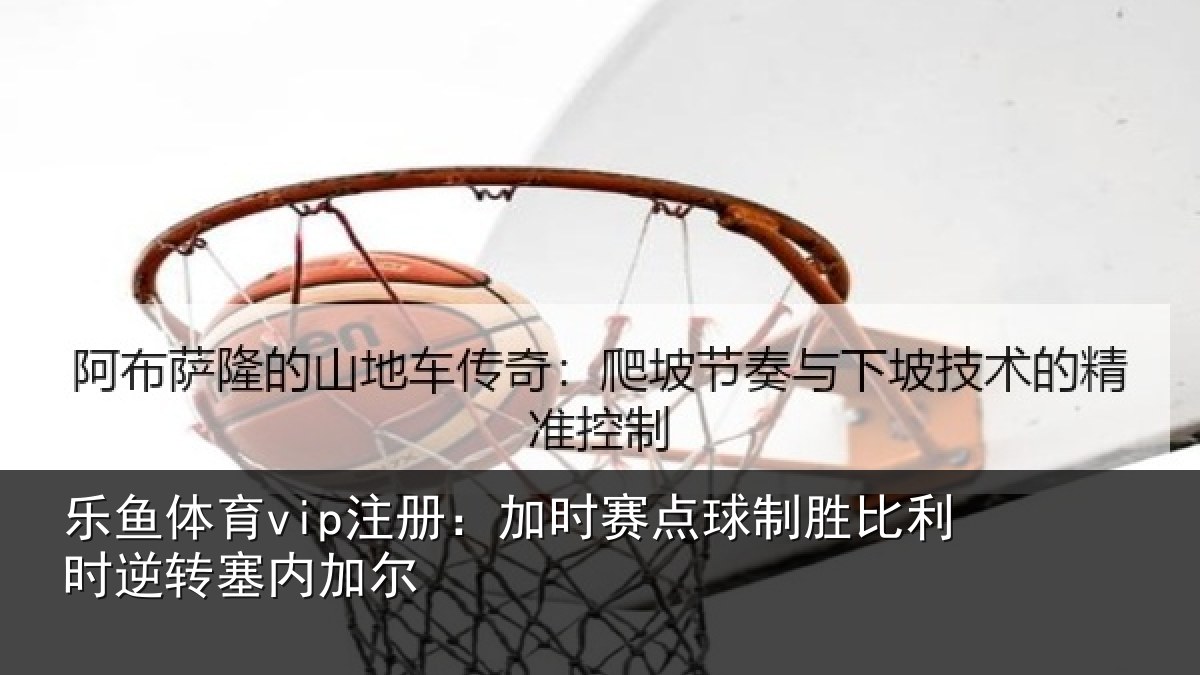 乐鱼体育vip注册:加时赛点球制胜比利时逆转塞内加尔