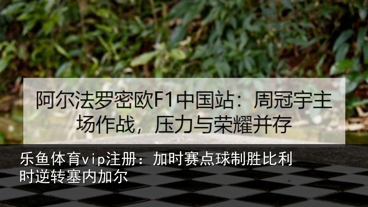 乐鱼体育vip注册:加时赛点球制胜比利时逆转塞内加尔