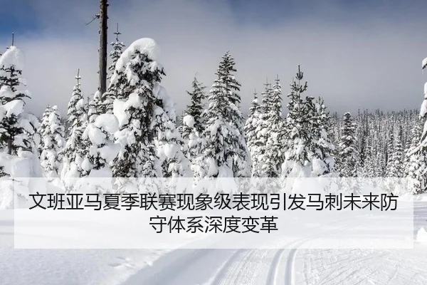 文班亚马夏季联赛现象级表现引发马刺未来防守体系深度变革