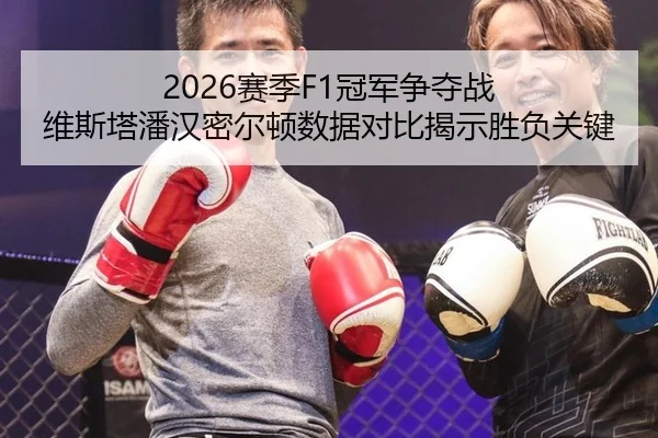 2026赛季F1冠军争夺战 维斯塔潘汉密尔顿数据对比揭示胜负关键